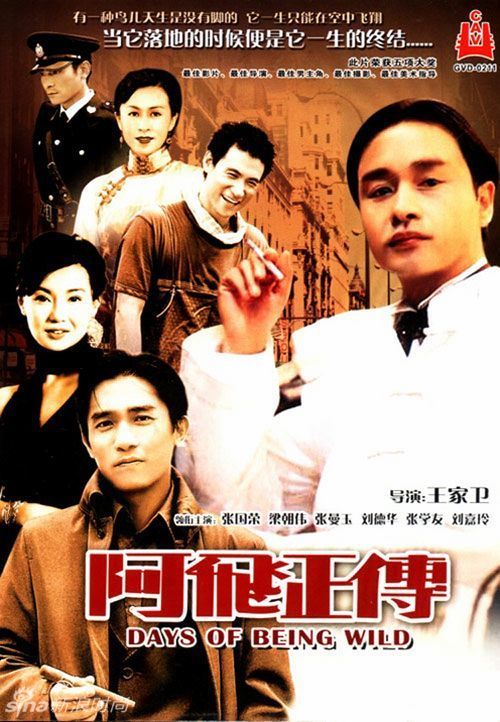 购买假阿根廷驾驶证